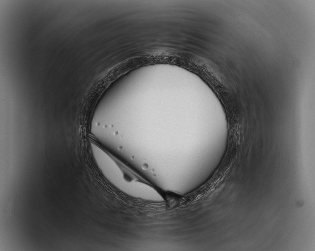 X0000094080821200711161605