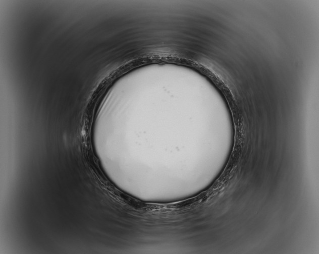 X0000094080823200711161605