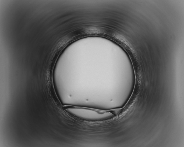 X0000094080825200711161605
