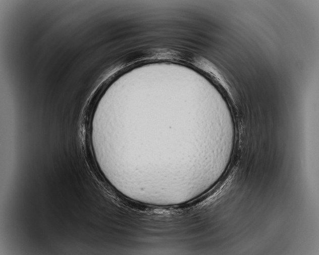 X0000094080827200711161605