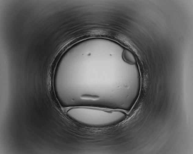 X0000094080829200711161605