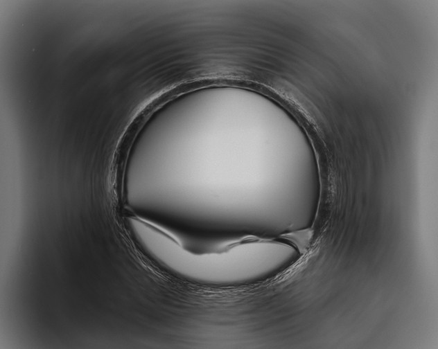 X0000094080830200711161605