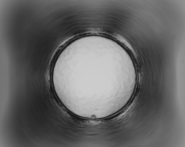 X0000094080831200711161605