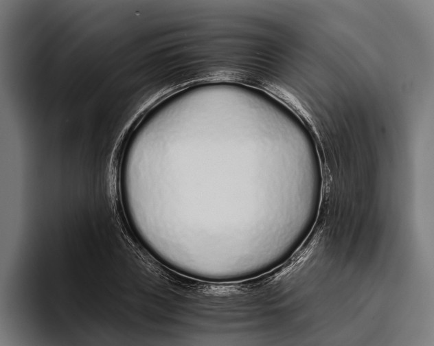 X0000094080835200711161605