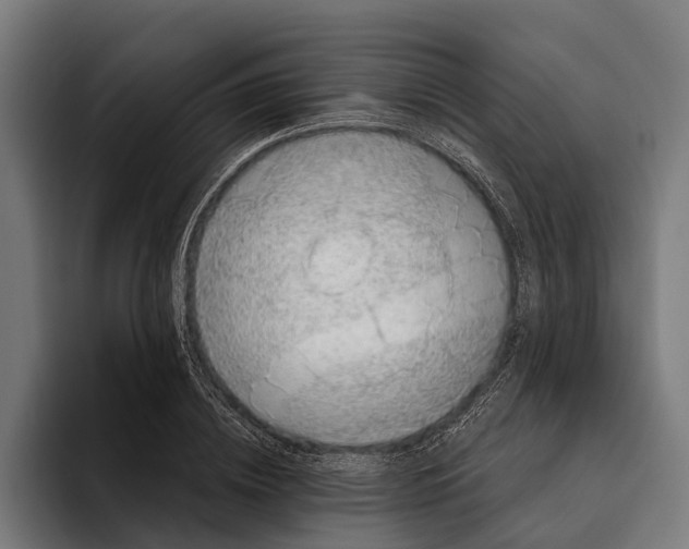 X0000094080836200711161605