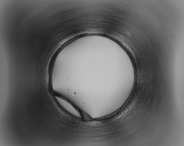 X0000094080837200711161605