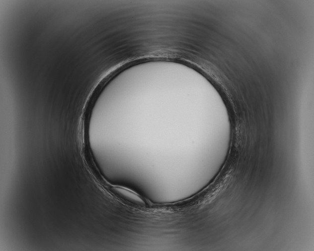 X0000094080838200711161605