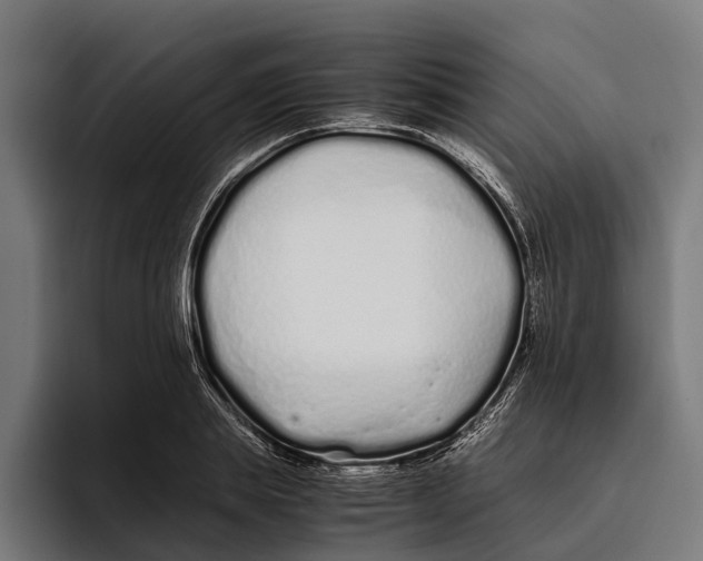 X0000094080839200711161606