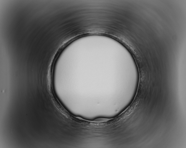 X0000094080840200711161606