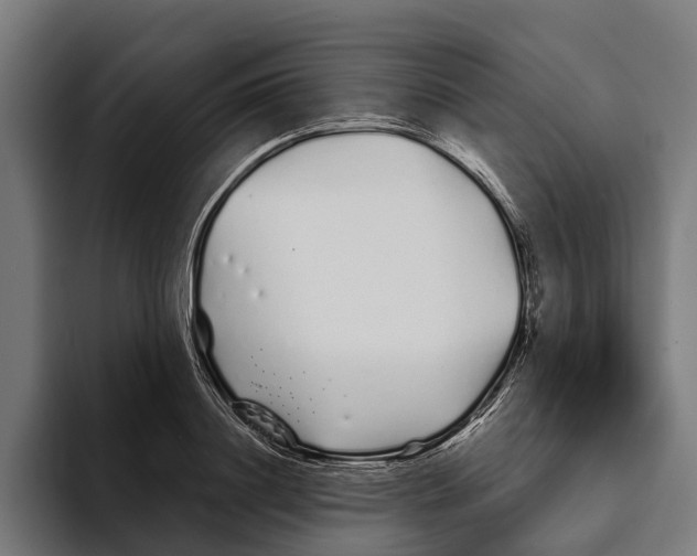 X0000094080844200711161606