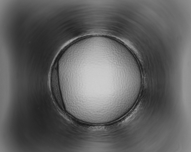 X0000094080846200711161606
