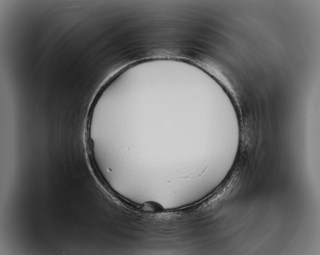 X0000094080847200711161606