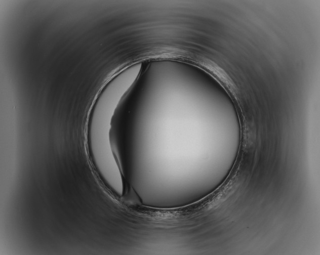 X0000094080850200711161606