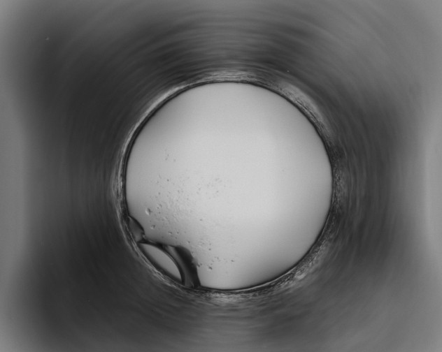 X0000094080852200711161606
