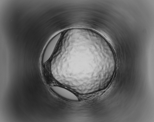 X0000094080854200711161606