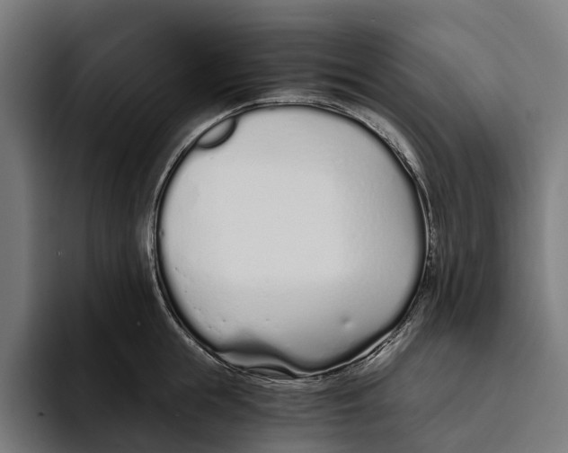 X0000094080855200711161606