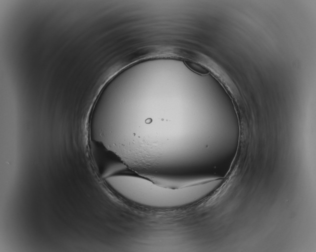 X0000094080858200711161606