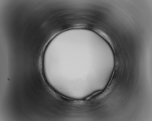 X0000094080859200711161606