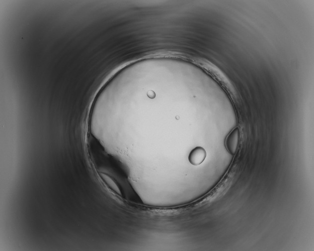 X0000094080860200711161606