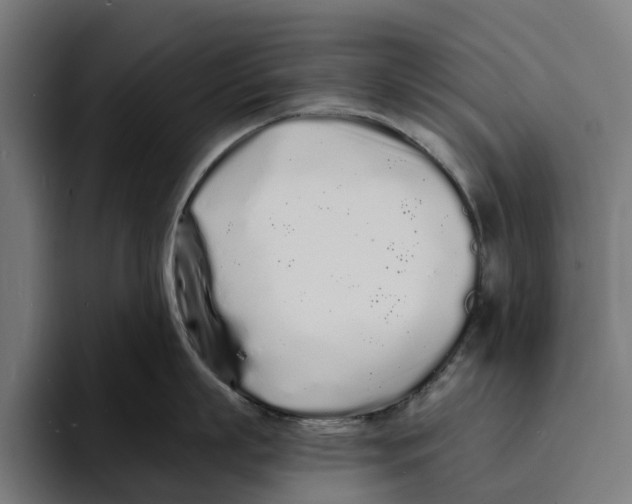 X0000094080863200711161606