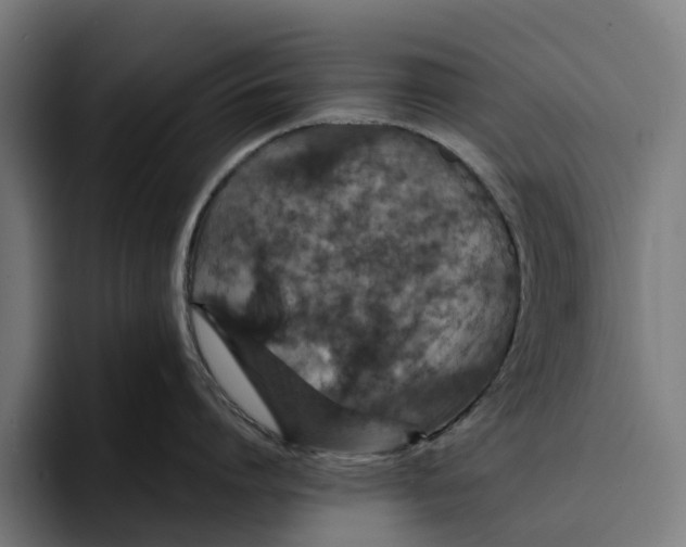 X0000094080864200711161606