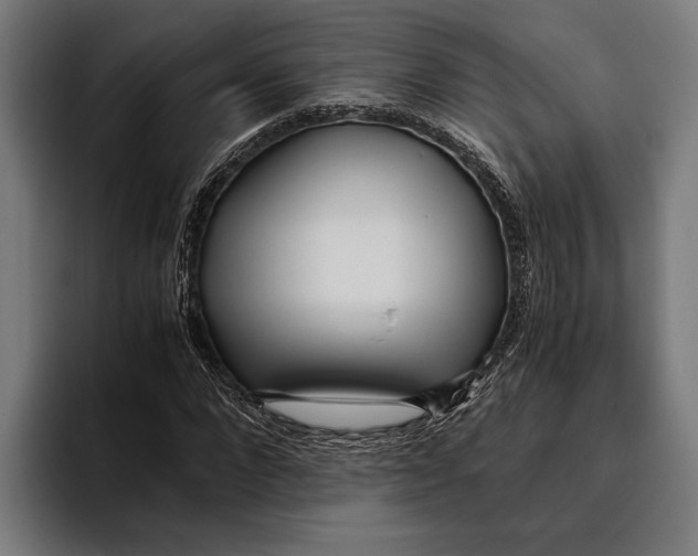 X0000094080872200711161605