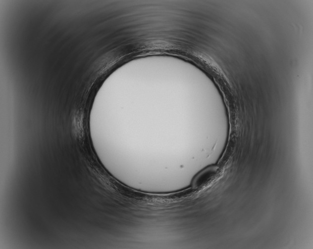 X0000094080873200711161605