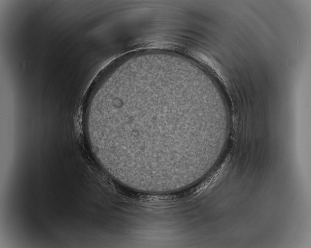 X0000094080875200711161605