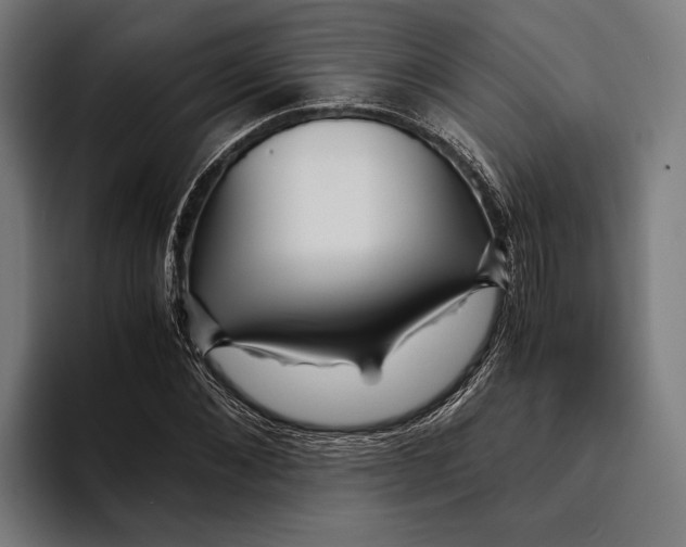 X0000094080876200711161605