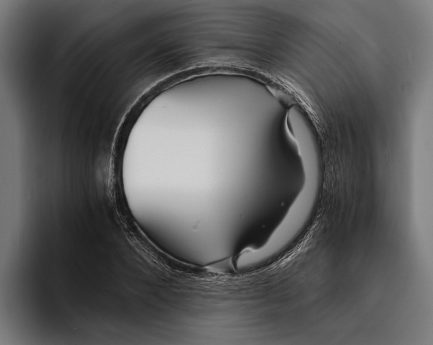 X0000094080880200711161605