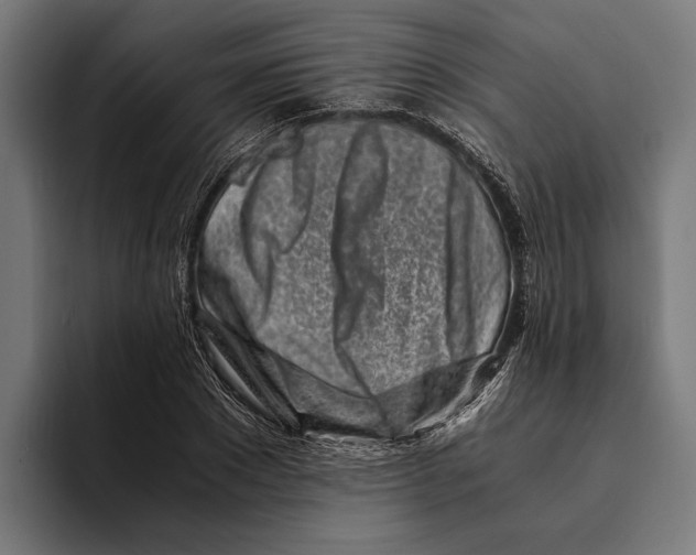 X0000094080881200711161605