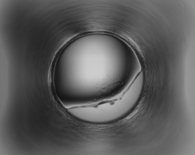 X0000094080885200711161605
