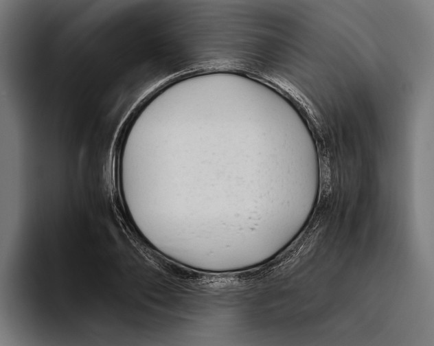 X0000094080886200711161605