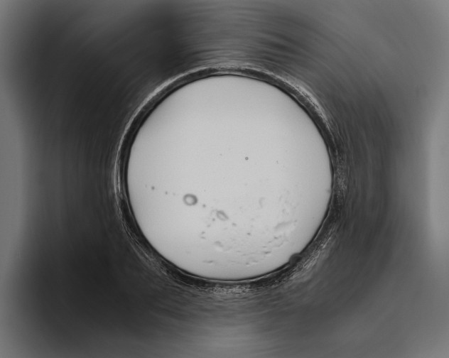 X0000094080887200711161605