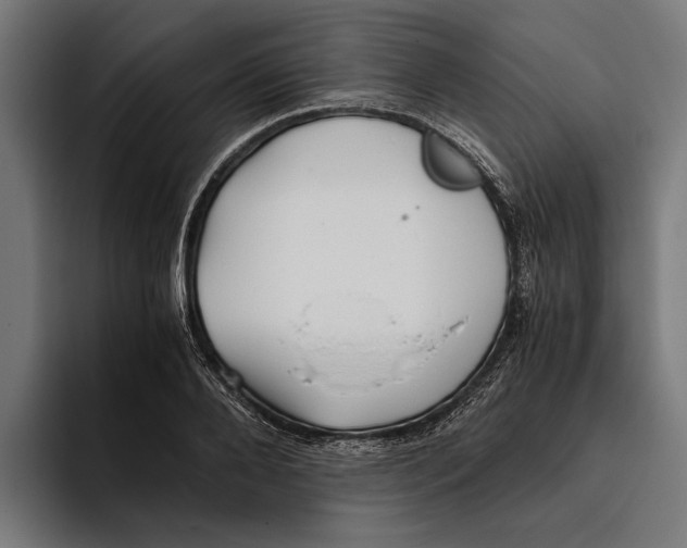 X0000094080888200711161605