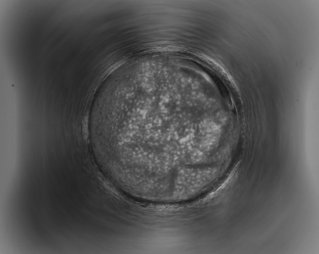 X0000094080889200711161605