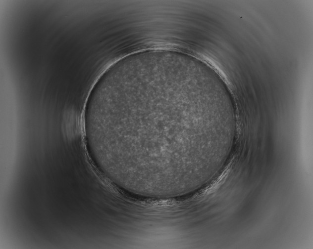 X0000094080891200711161605