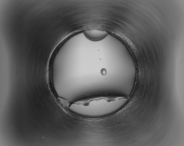 X0000094080894200711161605