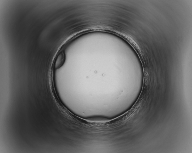 X0000094080895200711161605