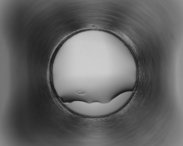 X0000094080896200711161605