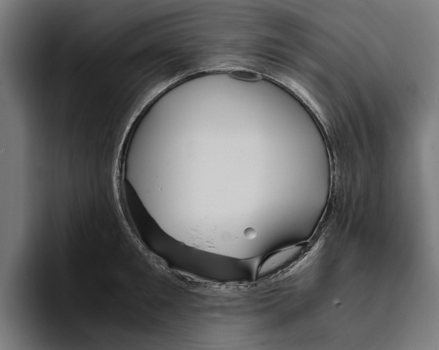 X0000094080901200711161605