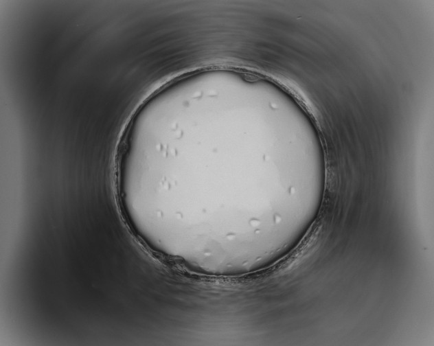 X0000094080903200711161605