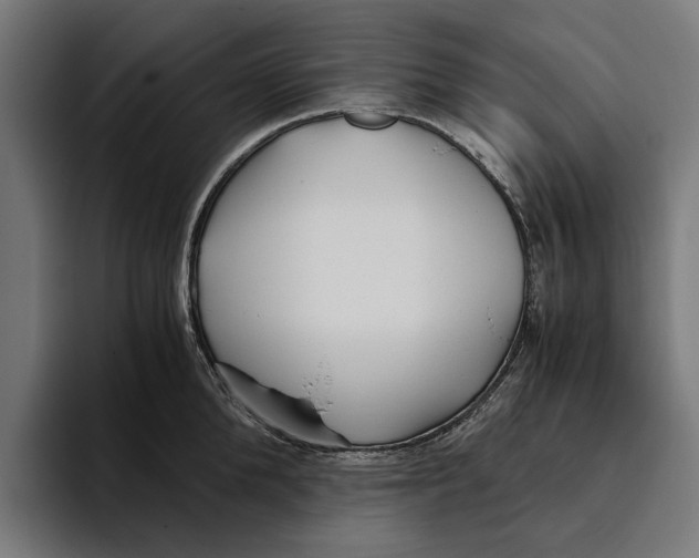 X0000094080904200711161605