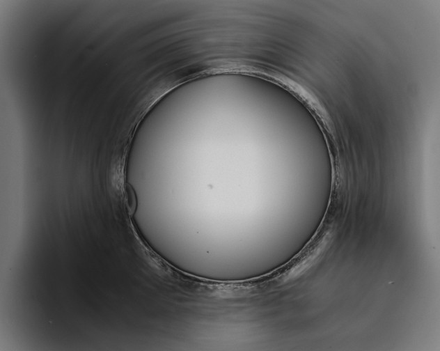 X0000094080905200711161605