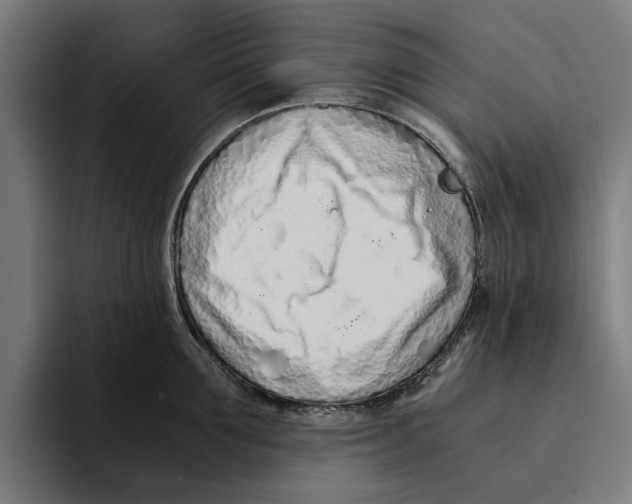 X0000094080907200711161605
