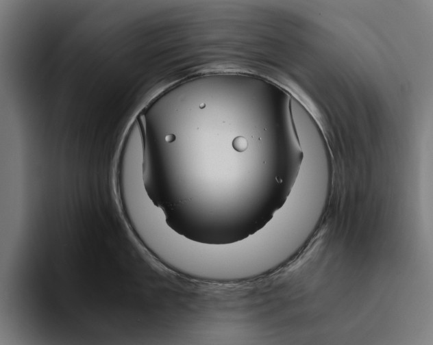 X0000094080909200711161605