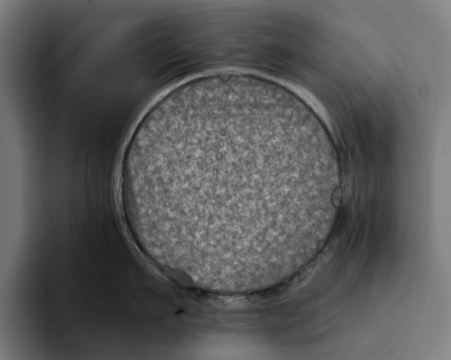 X0000094080911200711161605