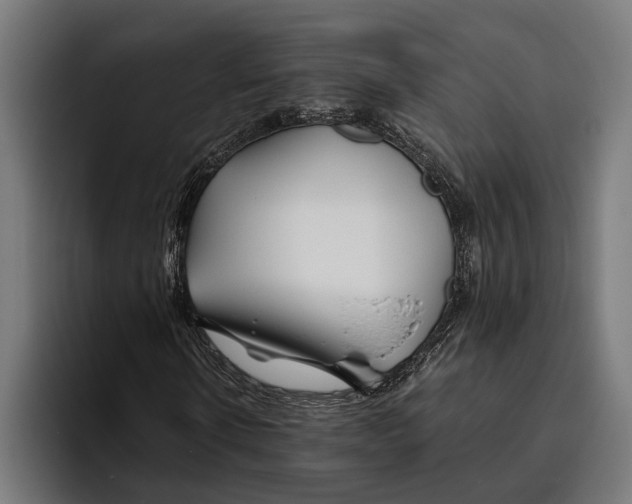 X0000094080914200711161604