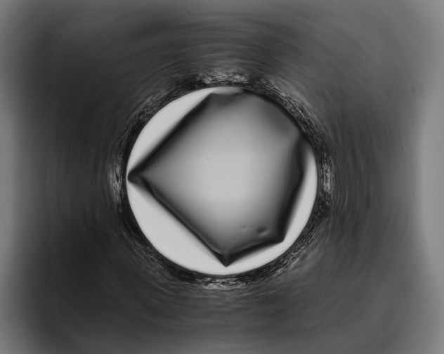 X0000094080915200711161604