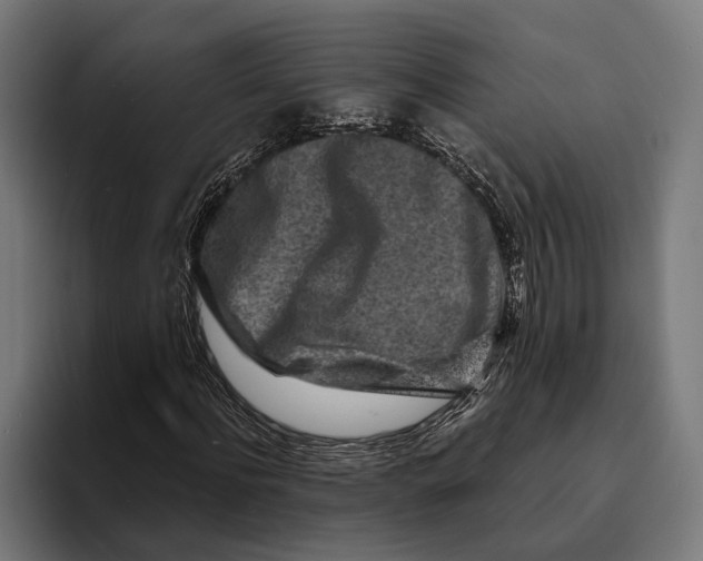 X0000094080916200711161604